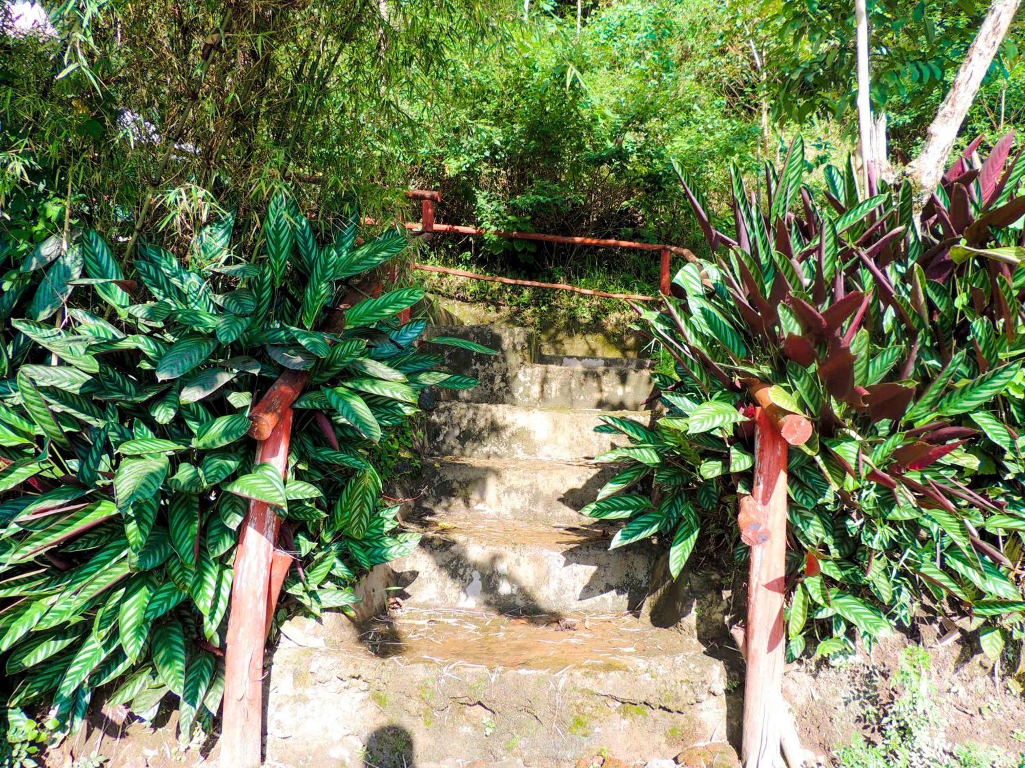 ホテル Mutanda Eco Community Center キソロ エクステリア 写真